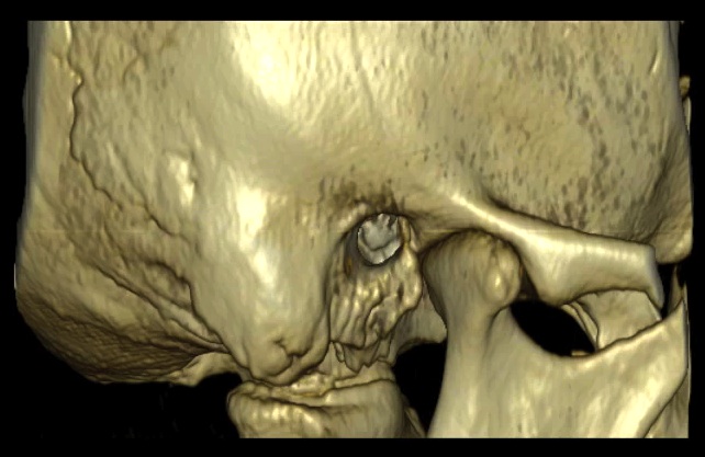 Home Page Image